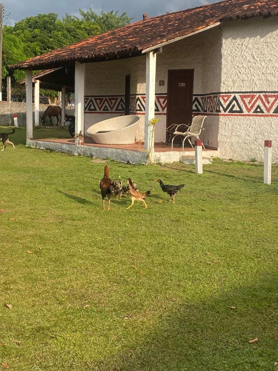 Pousada Marajoara- Hotel Fazenda-Turismo De Aventura Soure Ngoại thất bức ảnh